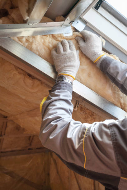 Best Radiant Barrier Insulation  in Privateer, SC